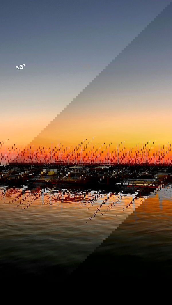 dana_ratushany image ~ Altpins