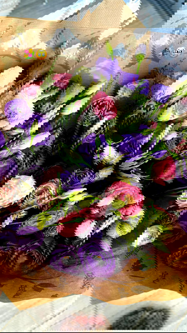 dana_ratushany image ~ Altpins