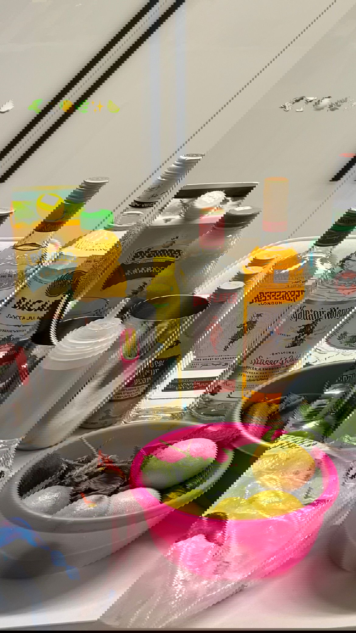 dana_ratushany instagram image archive image