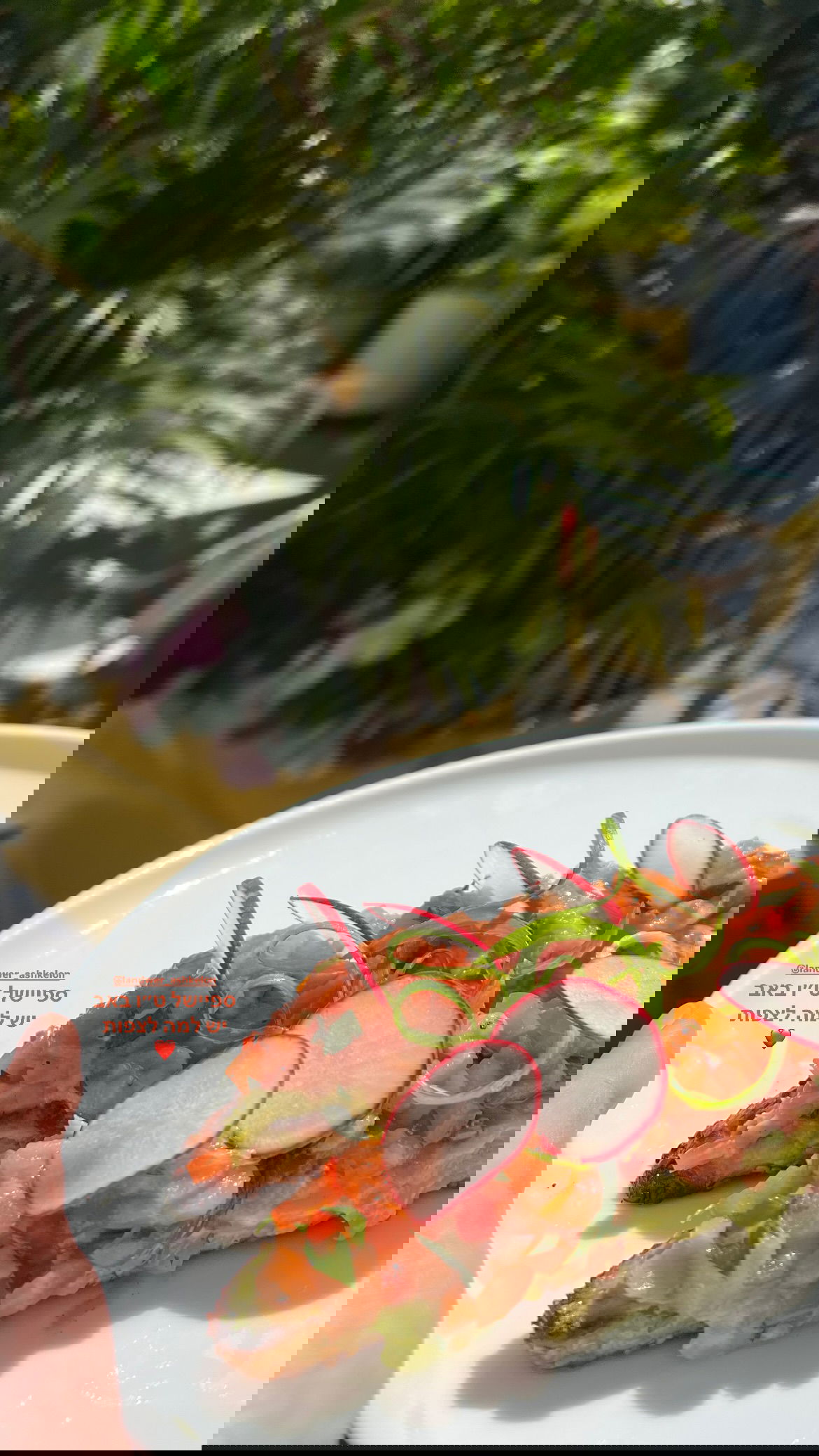 dana_ratushany instagram image archive image