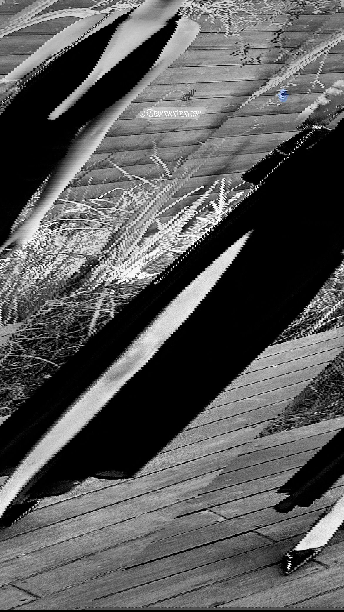 dana_ratushany instagram image archive image