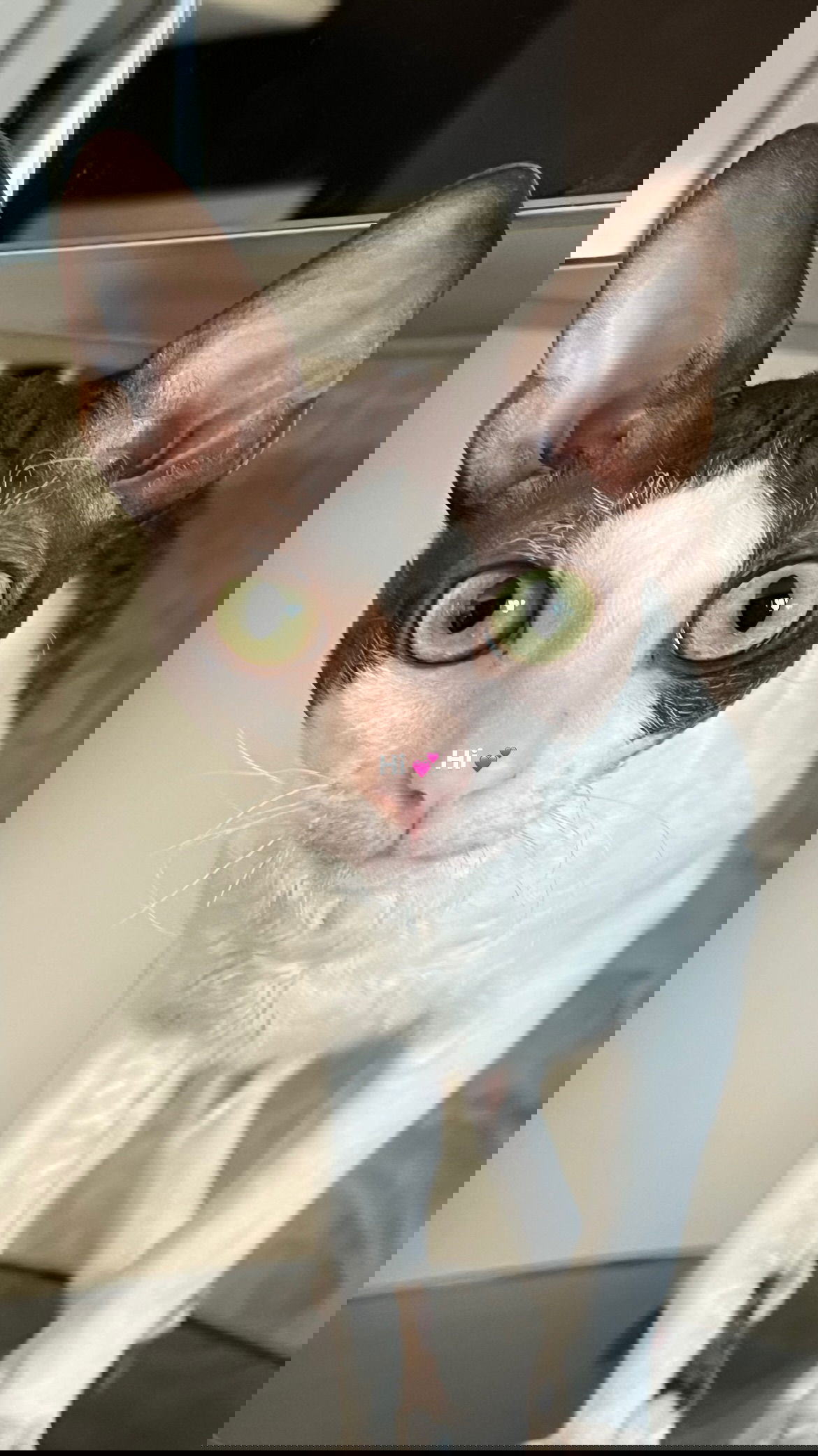 dana_ratushany instagram image archive image