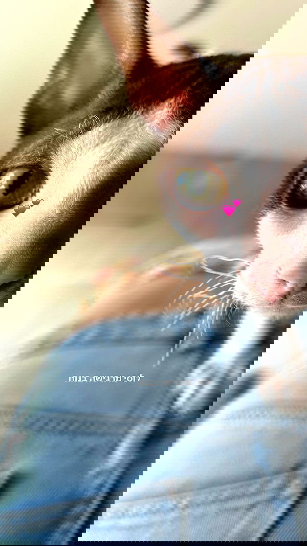 dana_ratushany image ~ Altpins