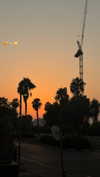 daniel_gal_1 Altpins Profile Picture