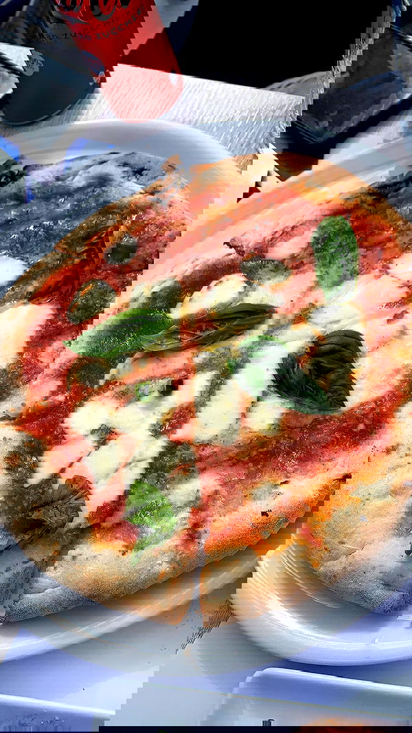 daniel_shallom image ~ Altpins