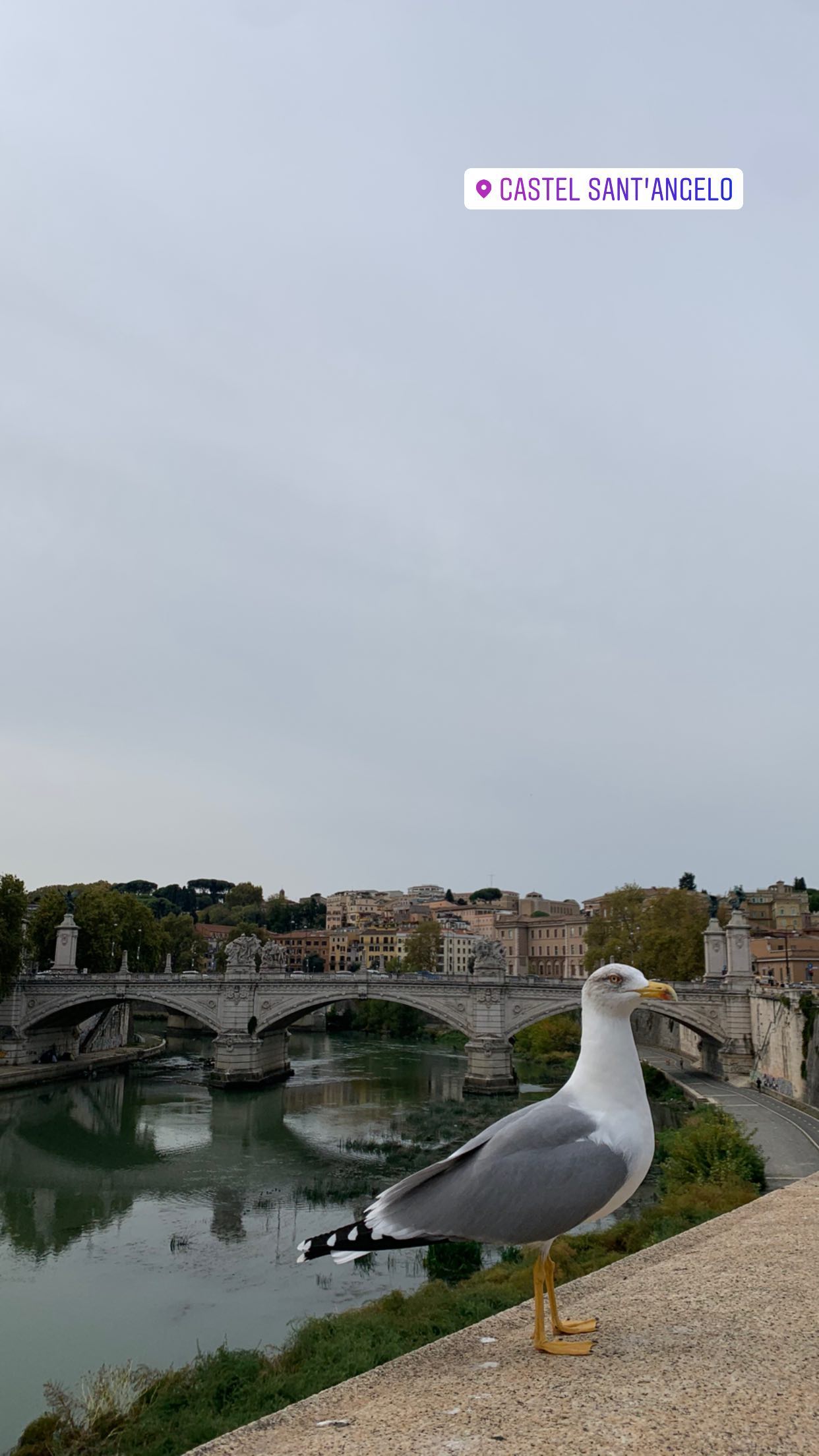 daniel_shallom instagram image archive image