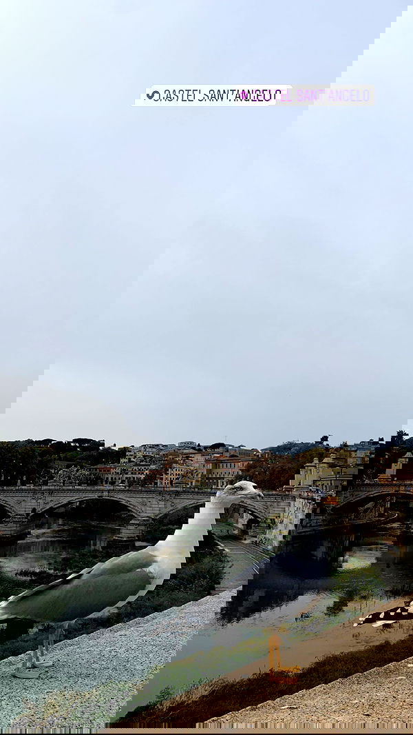 daniel_shallom image ~ Altpins