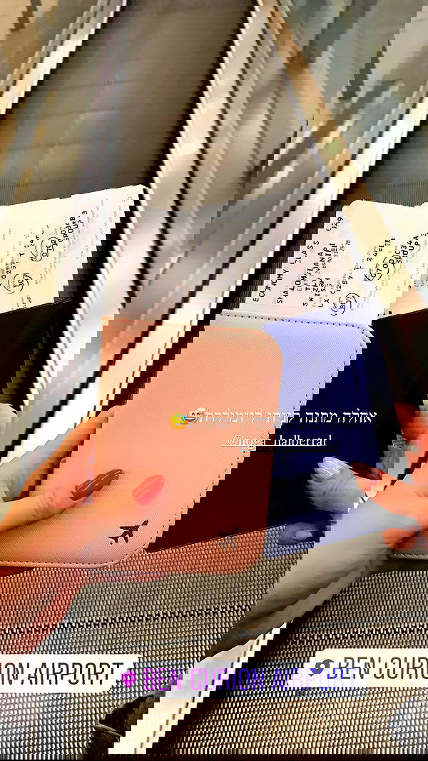 daniel_shallom image ~ Altpins