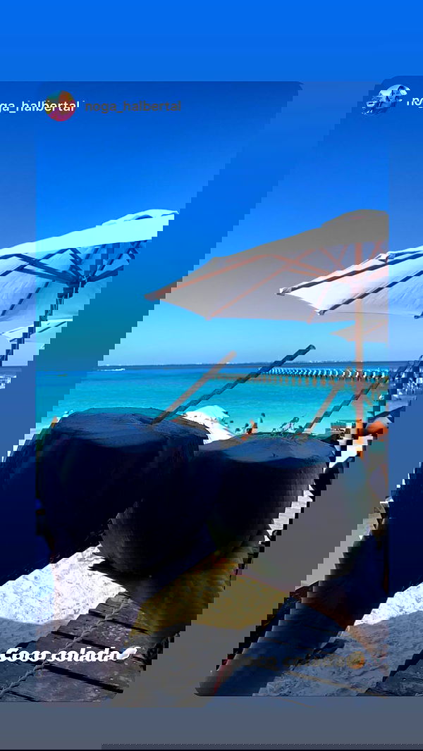 daniel_shallom image ~ Altpins