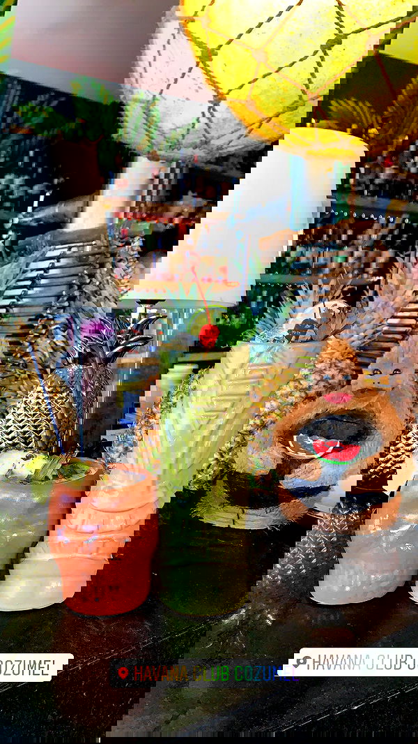 daniel_shallom image ~ Altpins