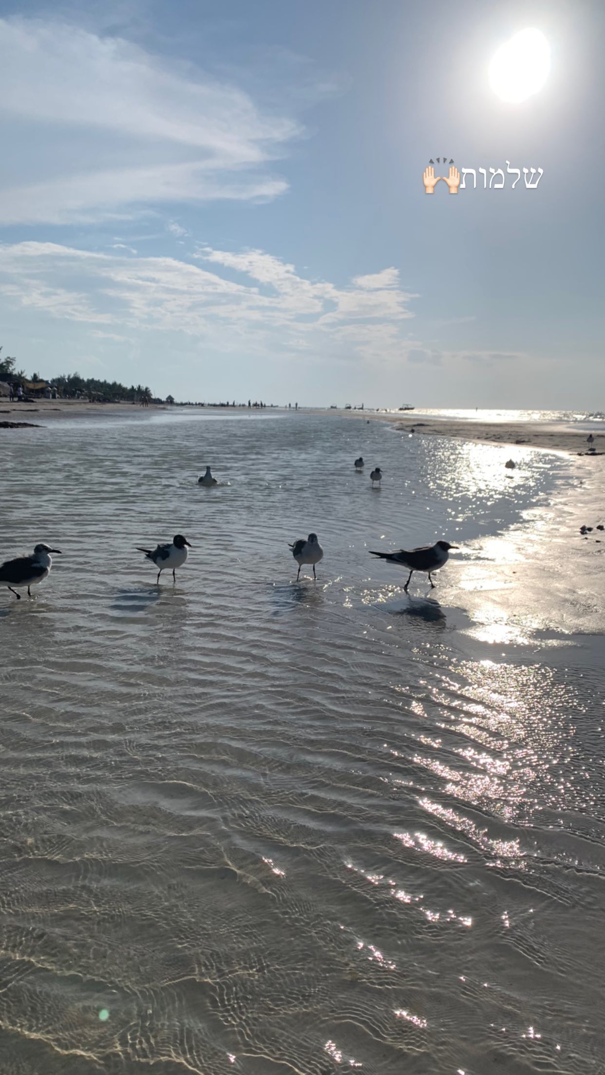 daniel_shallom instagram image archive image