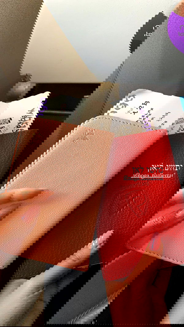 daniel_shallom image ~ Altpins