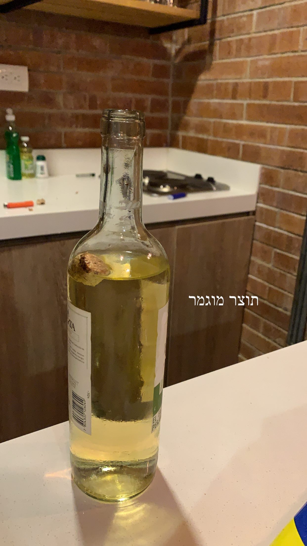 daniel_shallom instagram image archive image