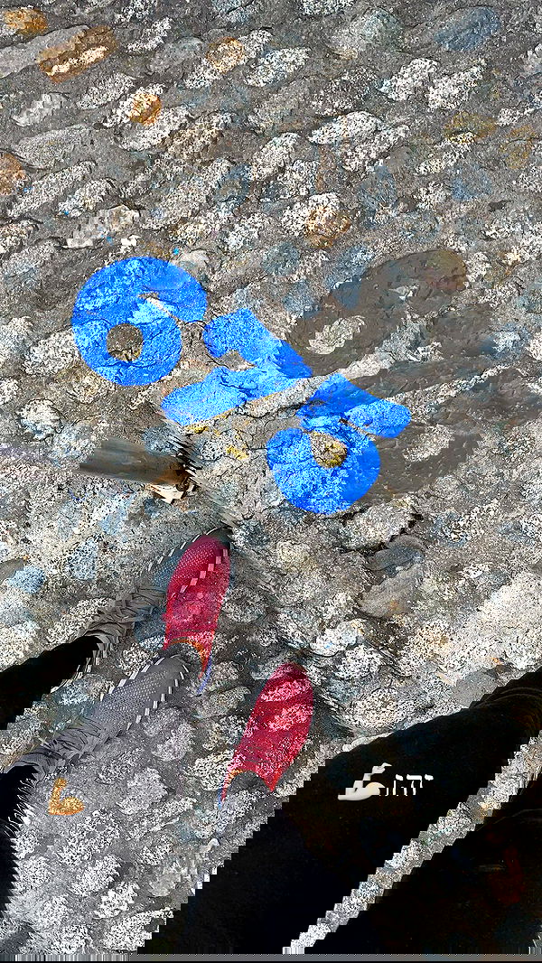 daniel_shallom image ~ Altpins