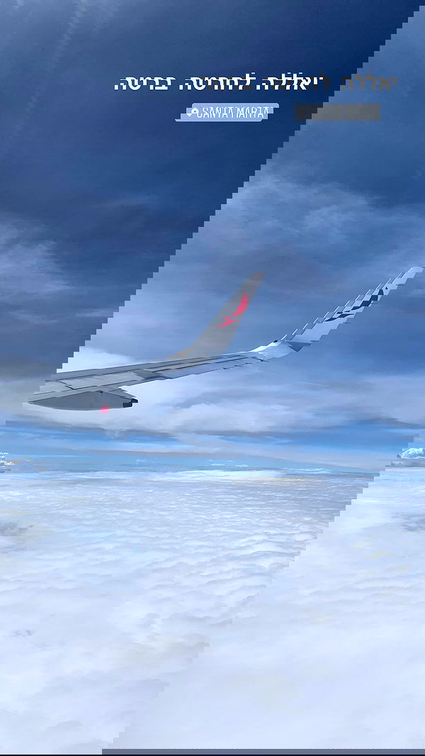 daniel_shallom image ~ Altpins