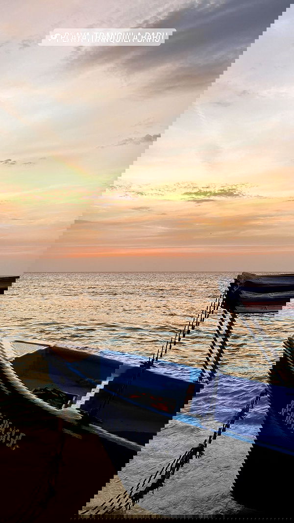 daniel_shallom image ~ Altpins