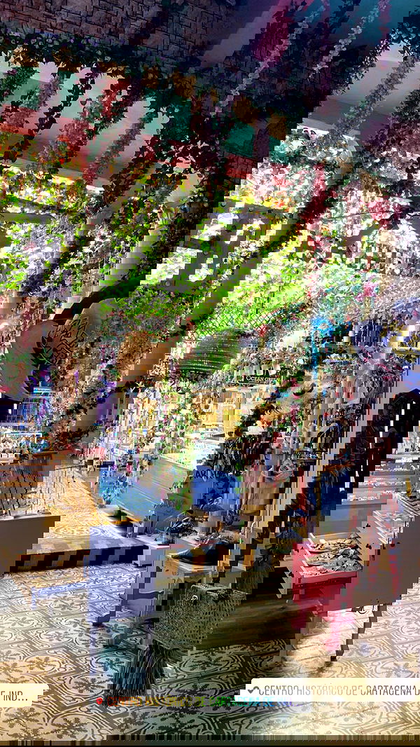 daniel_shallom image ~ Altpins