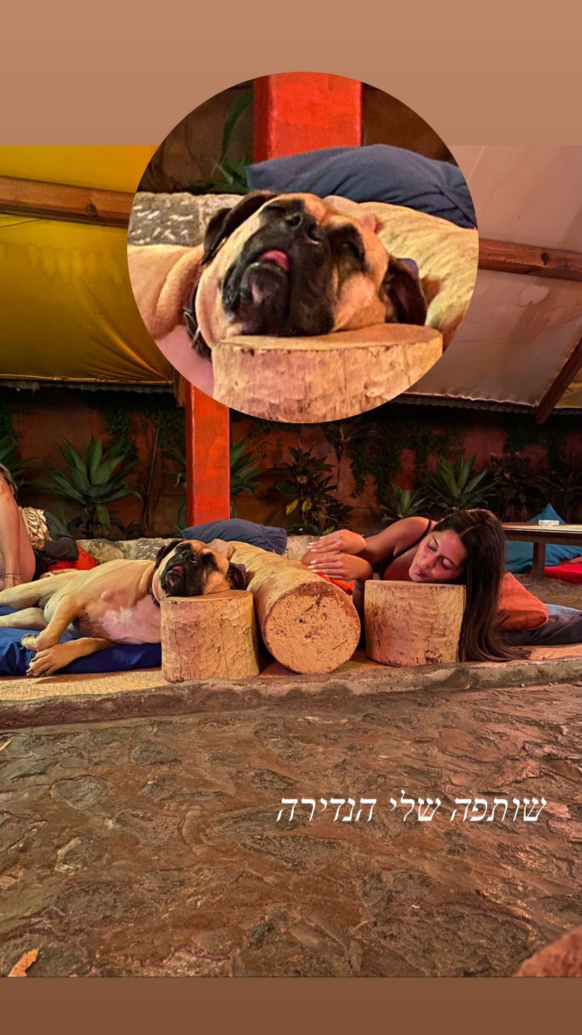 daniel_shallom instagram image archive image