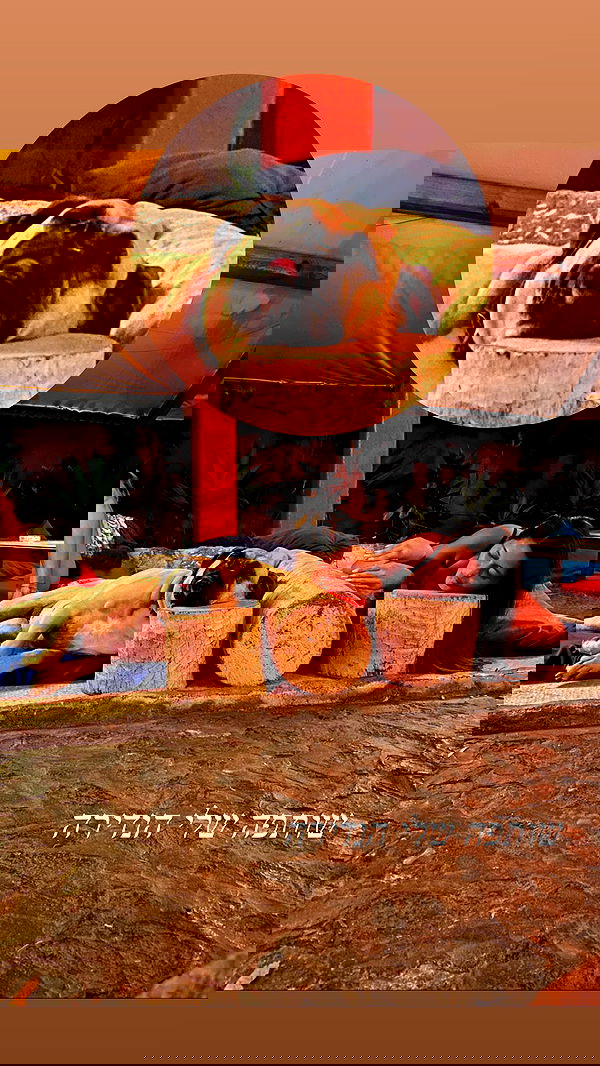 daniel_shallom image ~ Altpins