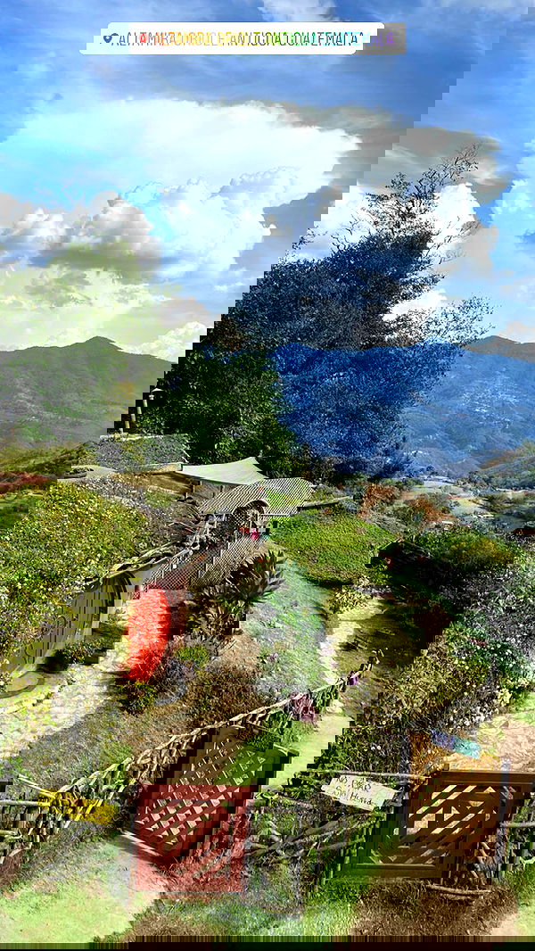 daniel_shallom image ~ Altpins