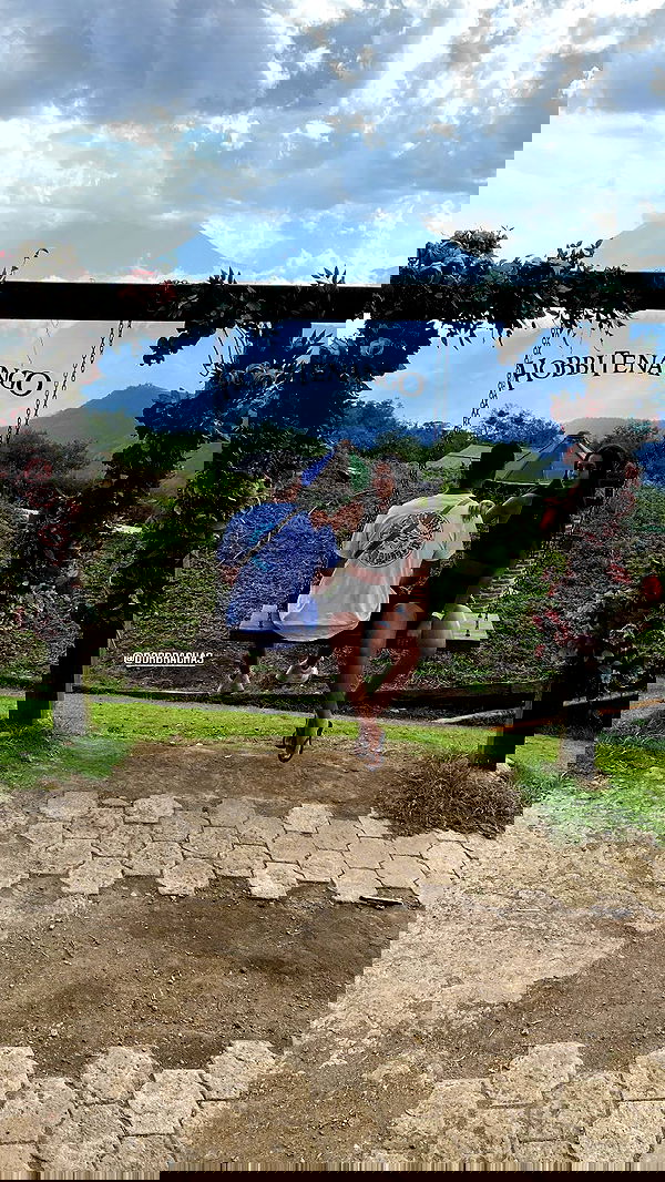 daniel_shallom image ~ Altpins