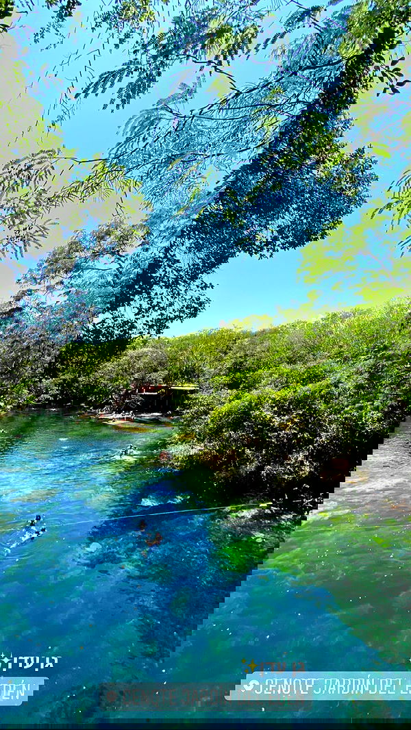 daniel_shallom image ~ Altpins