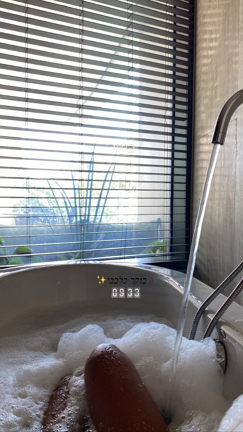 daniel_shallom instagram image archive image