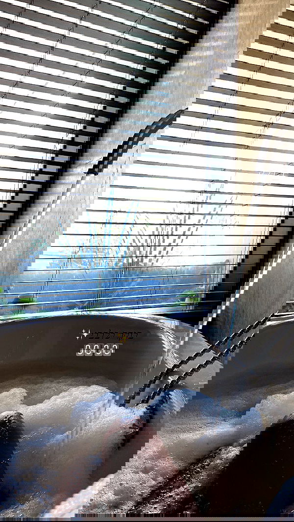 daniel_shallom image ~ Altpins