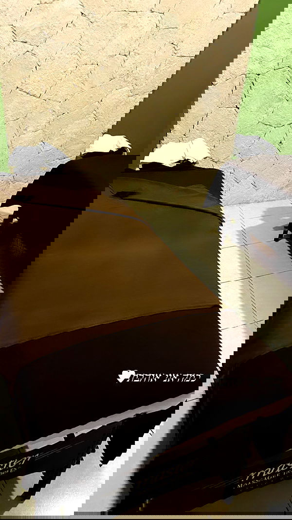 daniel_shallom image ~ Altpins