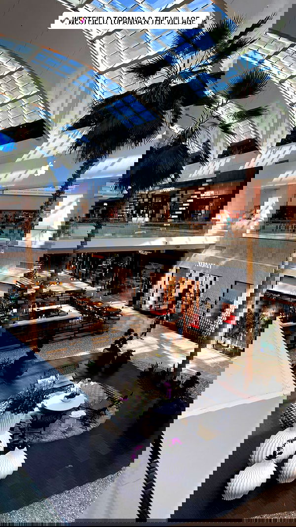 daniel_shallom image ~ Altpins