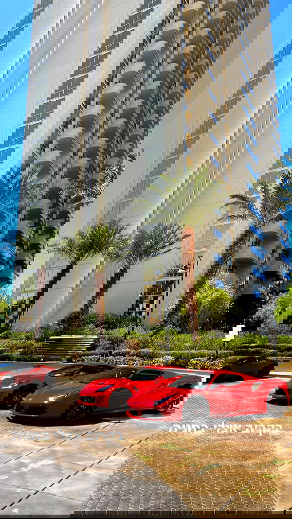 daniel_shallom image ~ Altpins