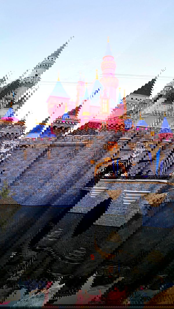 daniel_shallom image ~ Altpins