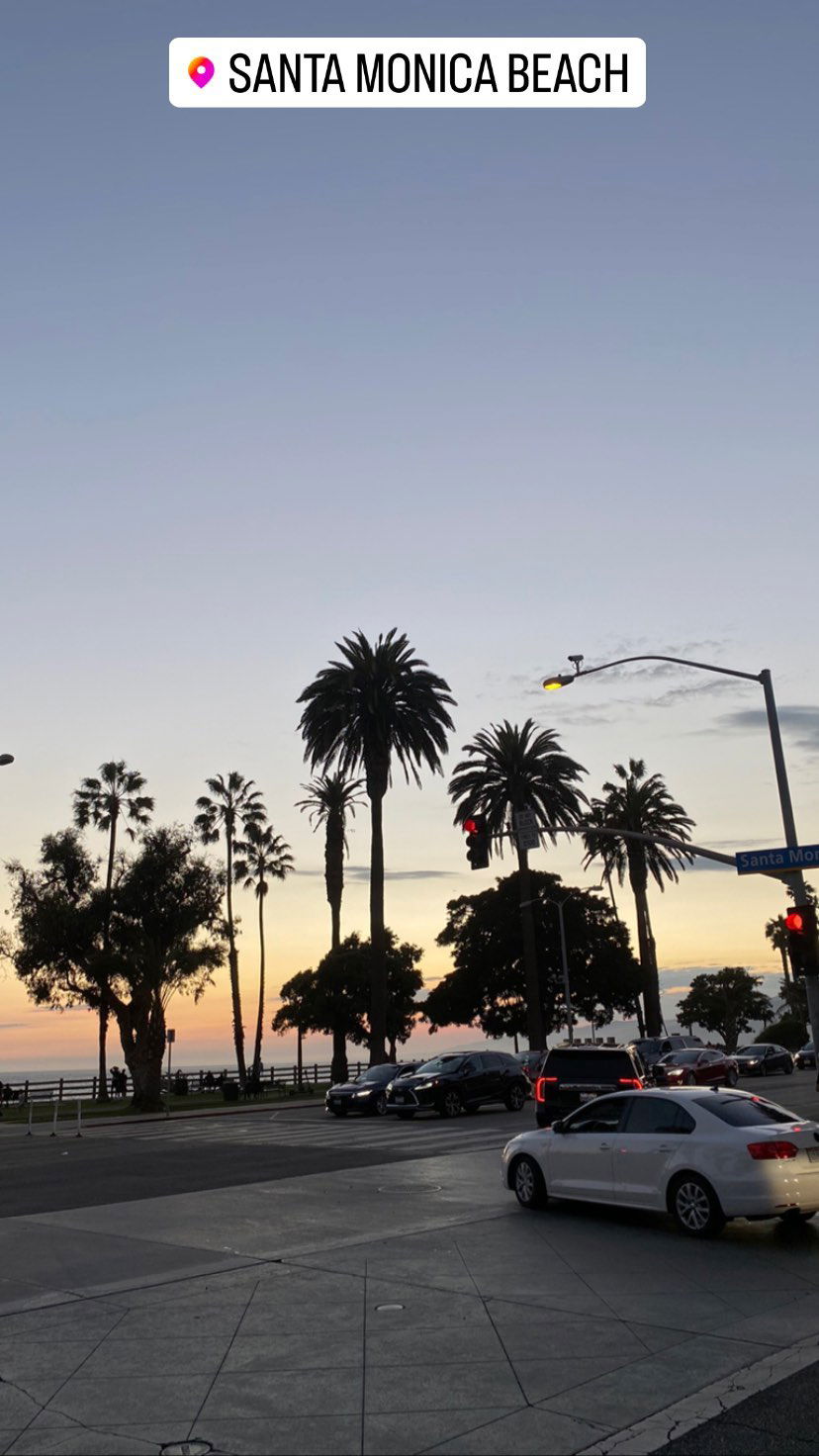 daniel_shallom instagram image archive image