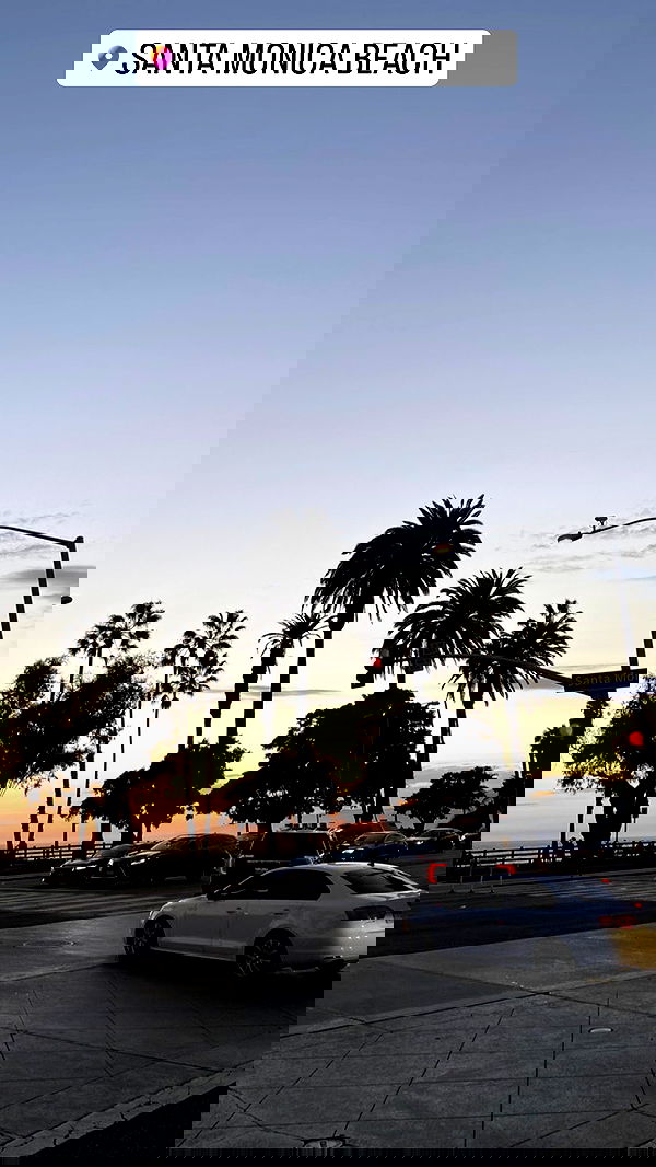 daniel_shallom image ~ Altpins