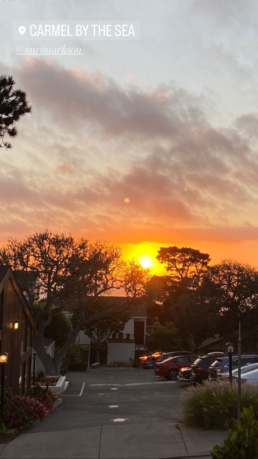 daniel_shallom instagram image archive image