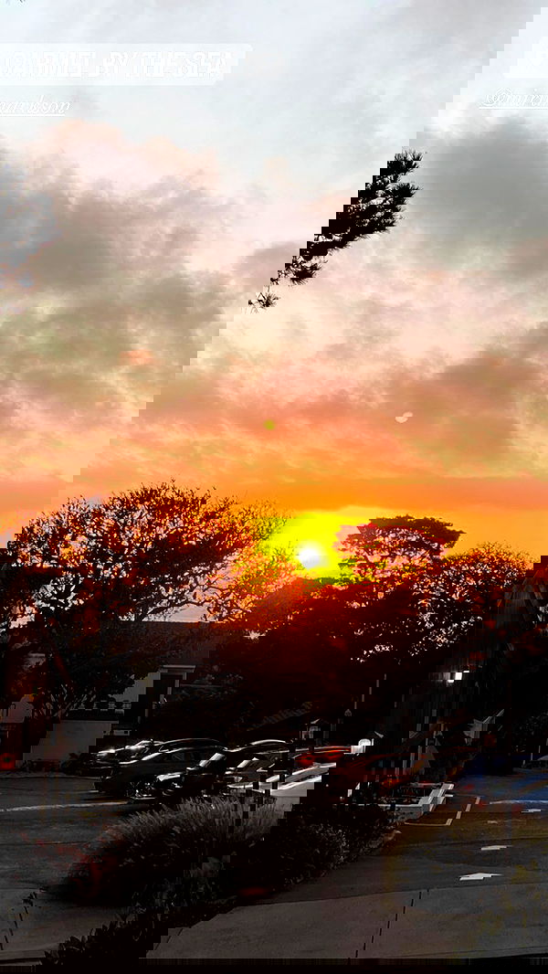 daniel_shallom image ~ Altpins