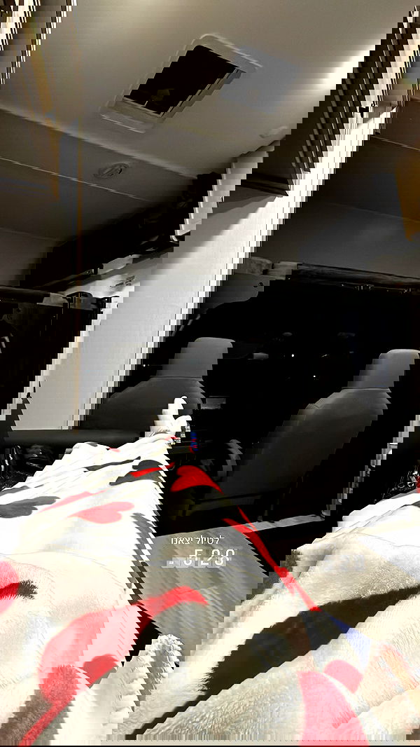 daniel_shallom image ~ Altpins