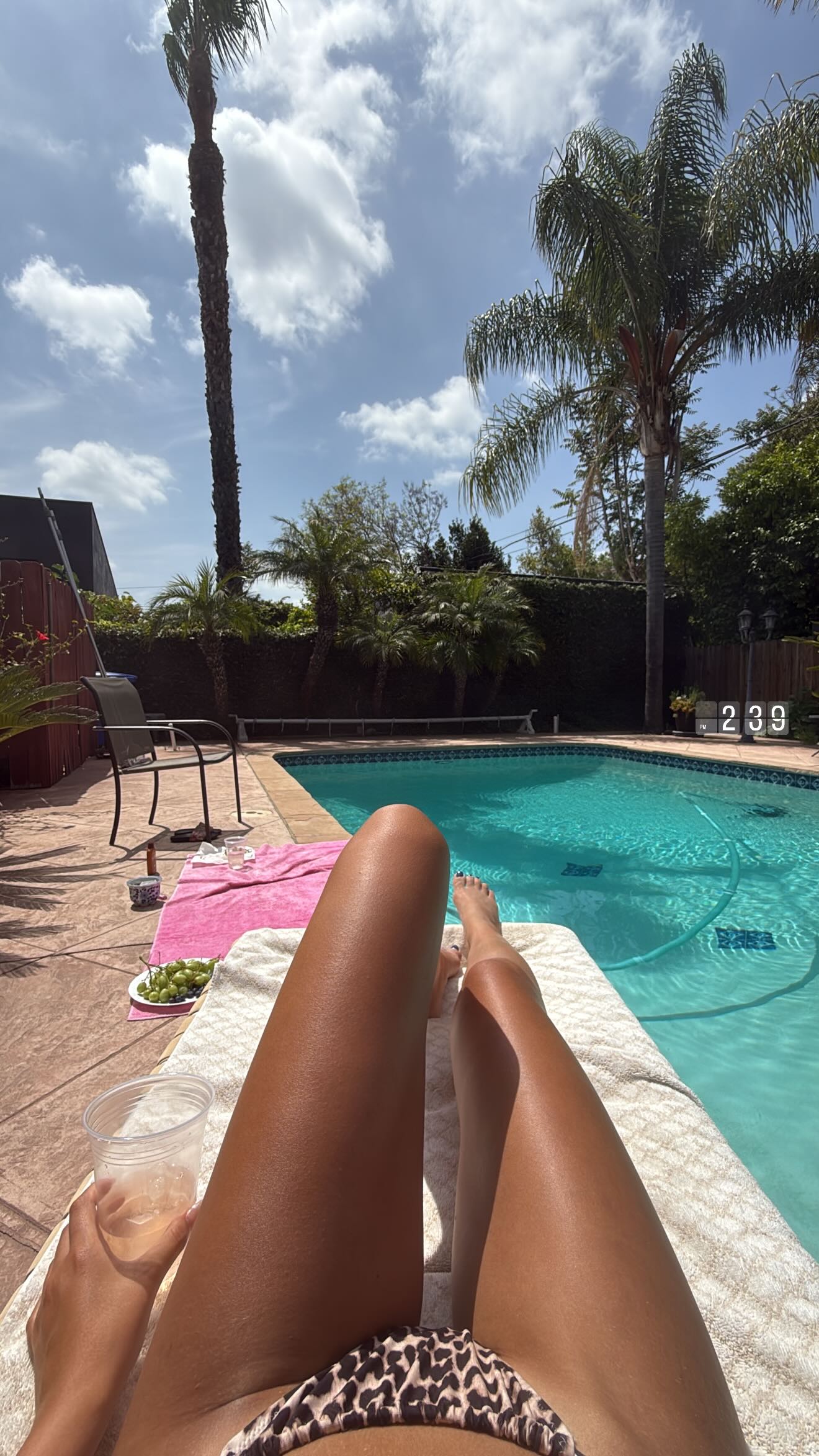 daniel_shallom instagram image archive image