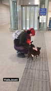 daniella_koosit Altpins Profile Picture