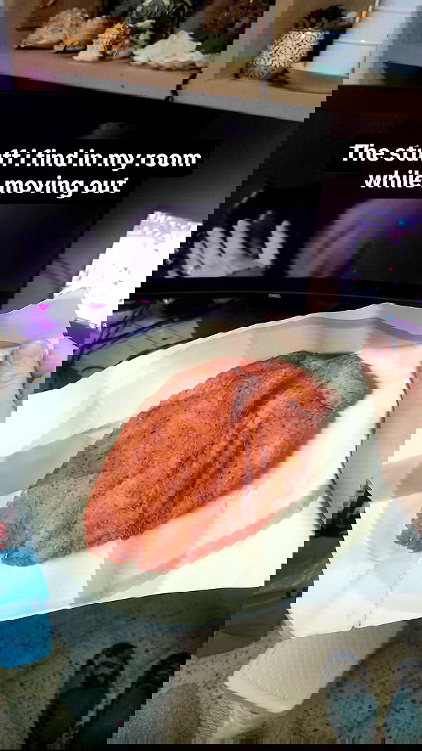 daniella_koosit daniella_koosit archive image