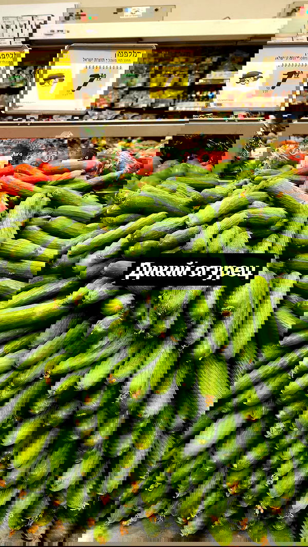 daniella_koosit daniella_koosit archive image