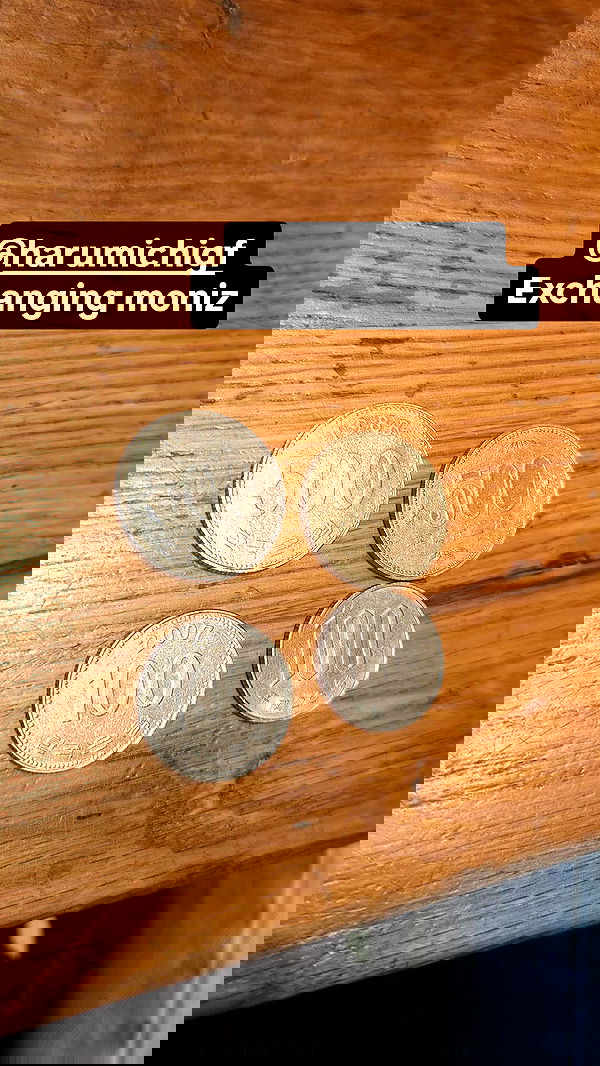 daniella_koosit daniella_koosit archive image