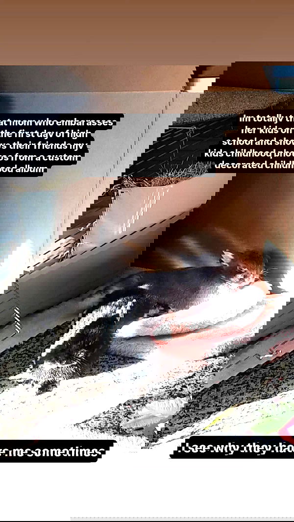 daniella_koosit daniella_koosit archive image