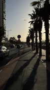 daniella_zeldis Altpins Profile Picture