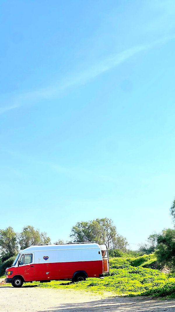daniellep___ daniellep___ archive image