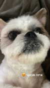daniiiiichka Altpins Profile Picture