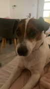 daniiiiichka Altpins Profile Picture