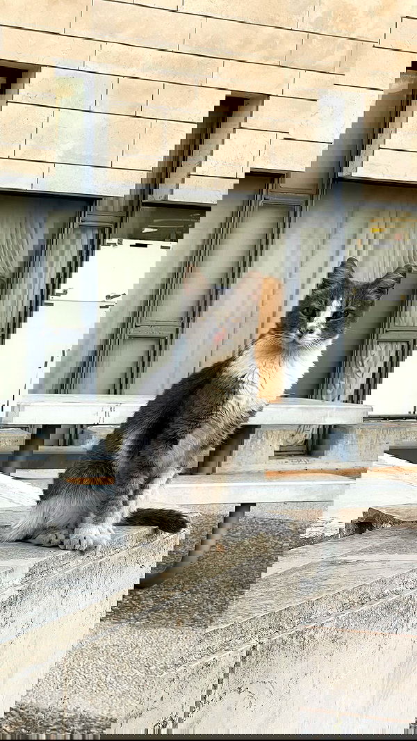 dante_yangpa dante_yangpa archive image