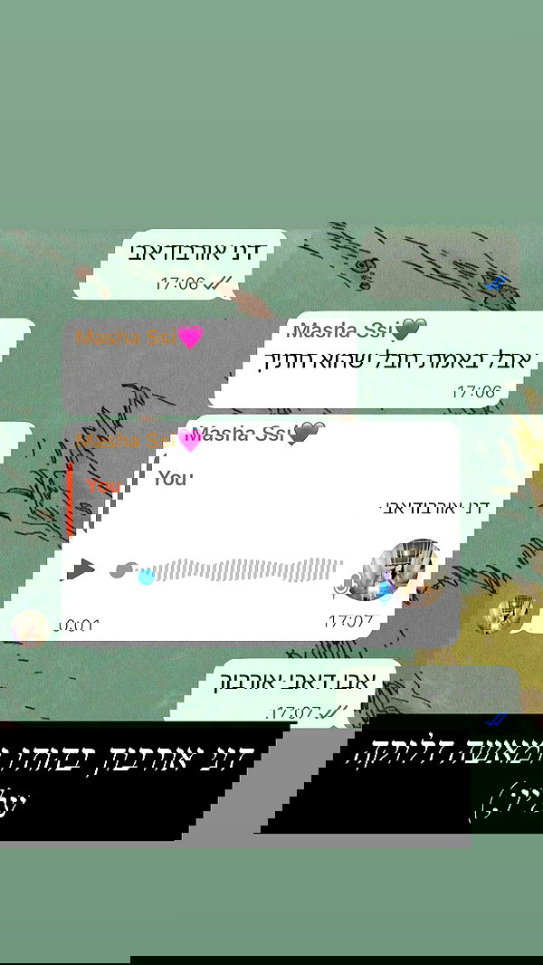 dante_yangpa dante_yangpa archive image