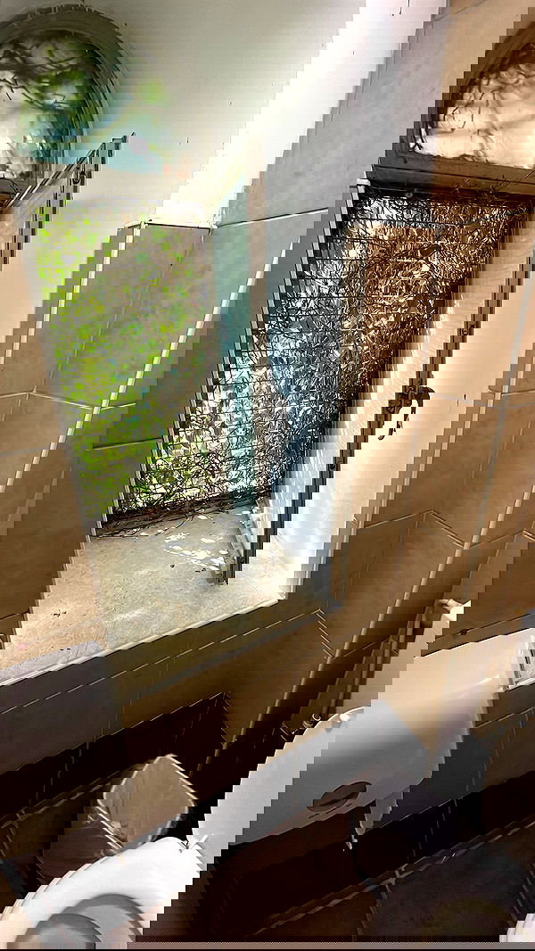 dante_yangpa dante_yangpa archive image